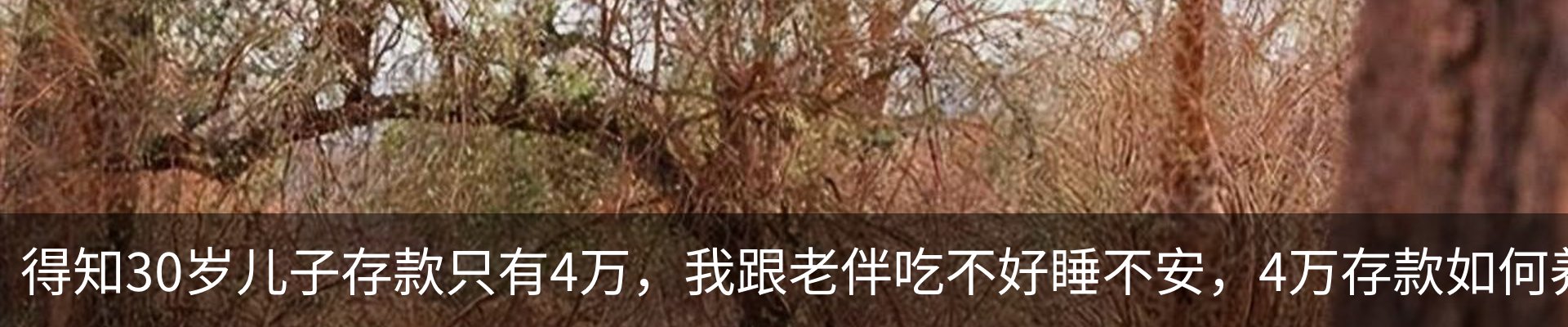 行业资讯