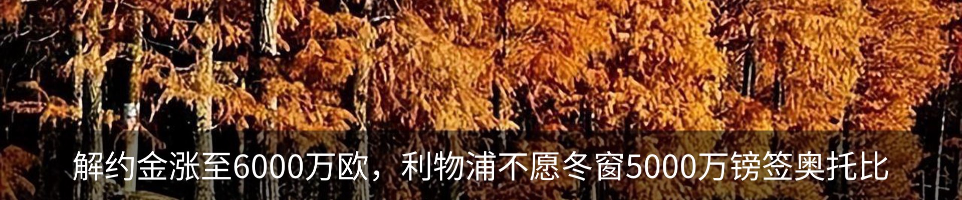 行业资讯