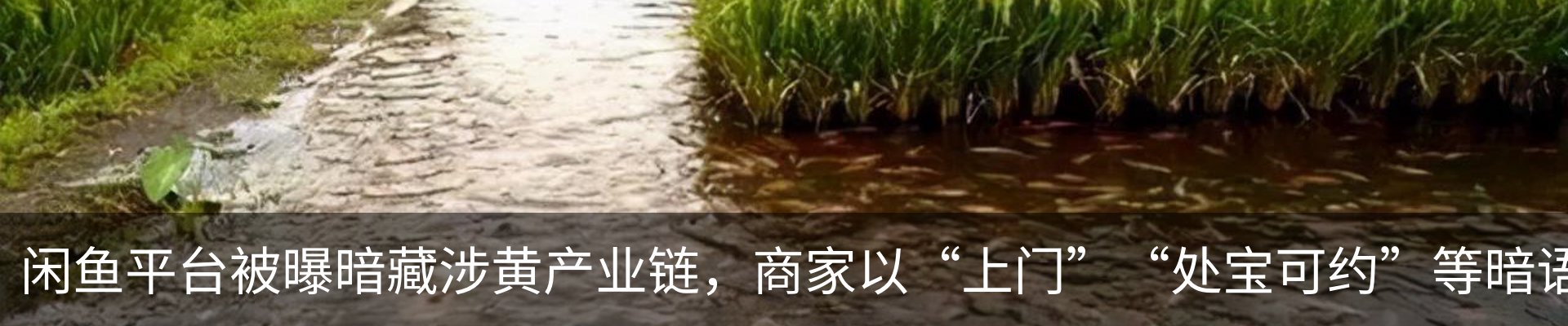 行业资讯